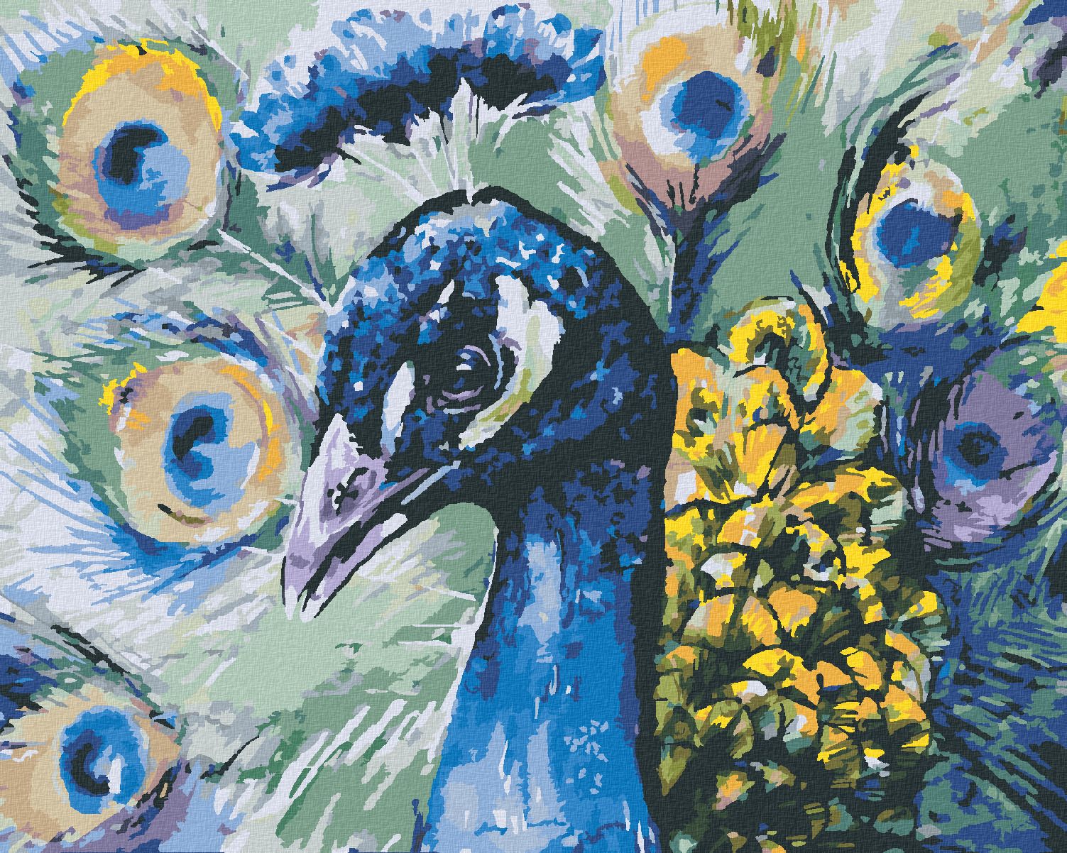 zuty Malování podle čísel - PÁV - Rozměr: 40x50 cm, Rámování: Varianta: vypnuté plátno na rám - obrázek 1
