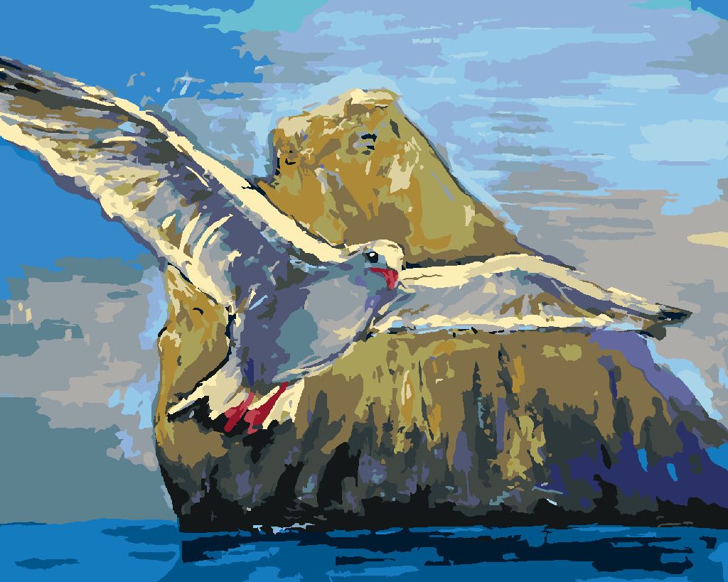 zuty Malování podle čísel - RACEK LETÍCÍ KOLEM KAMENE - Rozměr: 40x50 cm, Rámování: Varianta: vypnuté plátno na rám - obrázek 5