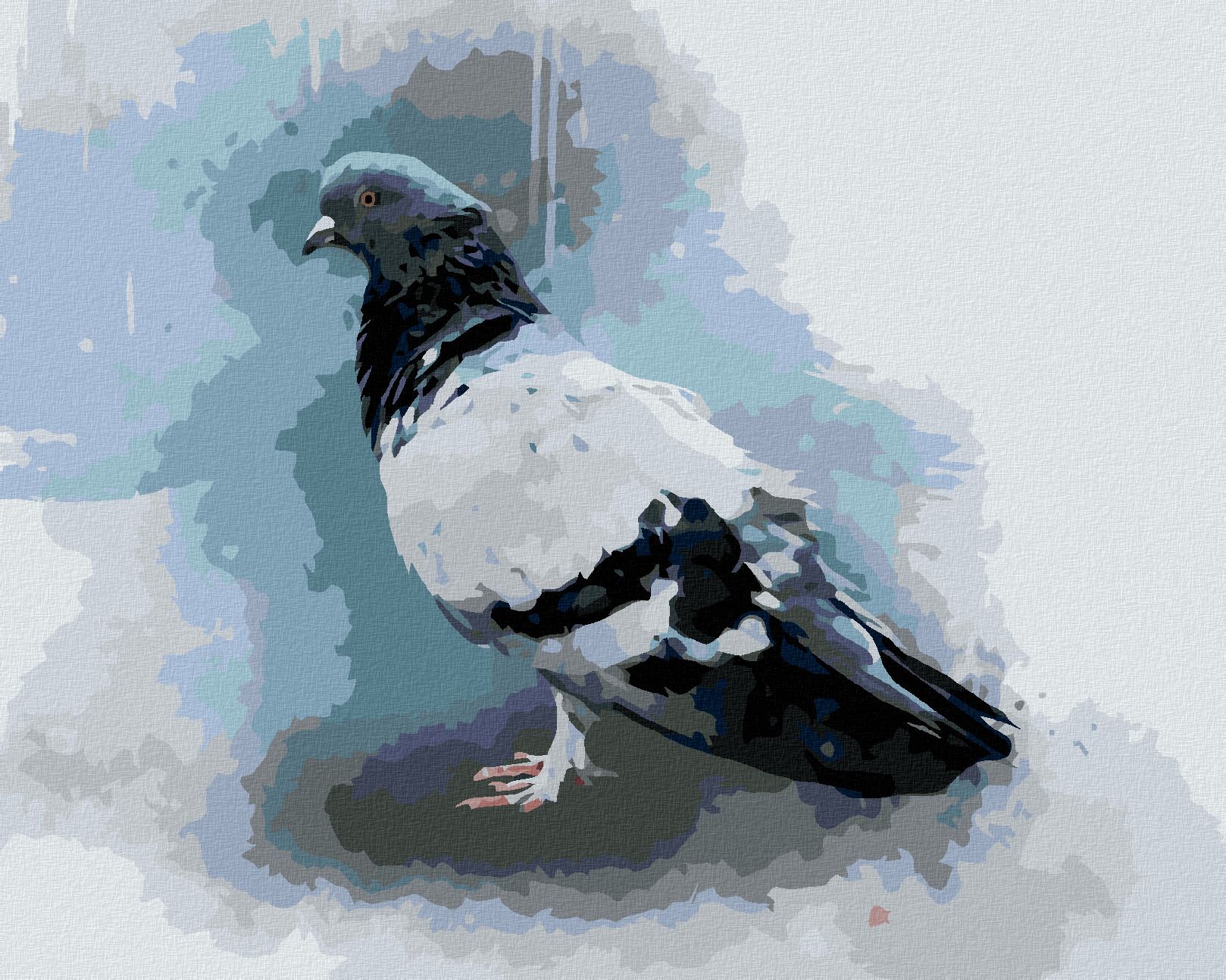 zuty Malování podle čísel - HOLUB - Rozměr: 40x50 cm, Rámování: Varianta: vypnuté plátno na rám - obrázek 1