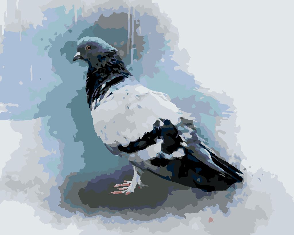 zuty Malování podle čísel - HOLUB - Rozměr: 40x50 cm, Rámování: Varianta: vypnuté plátno na rám - obrázek 10