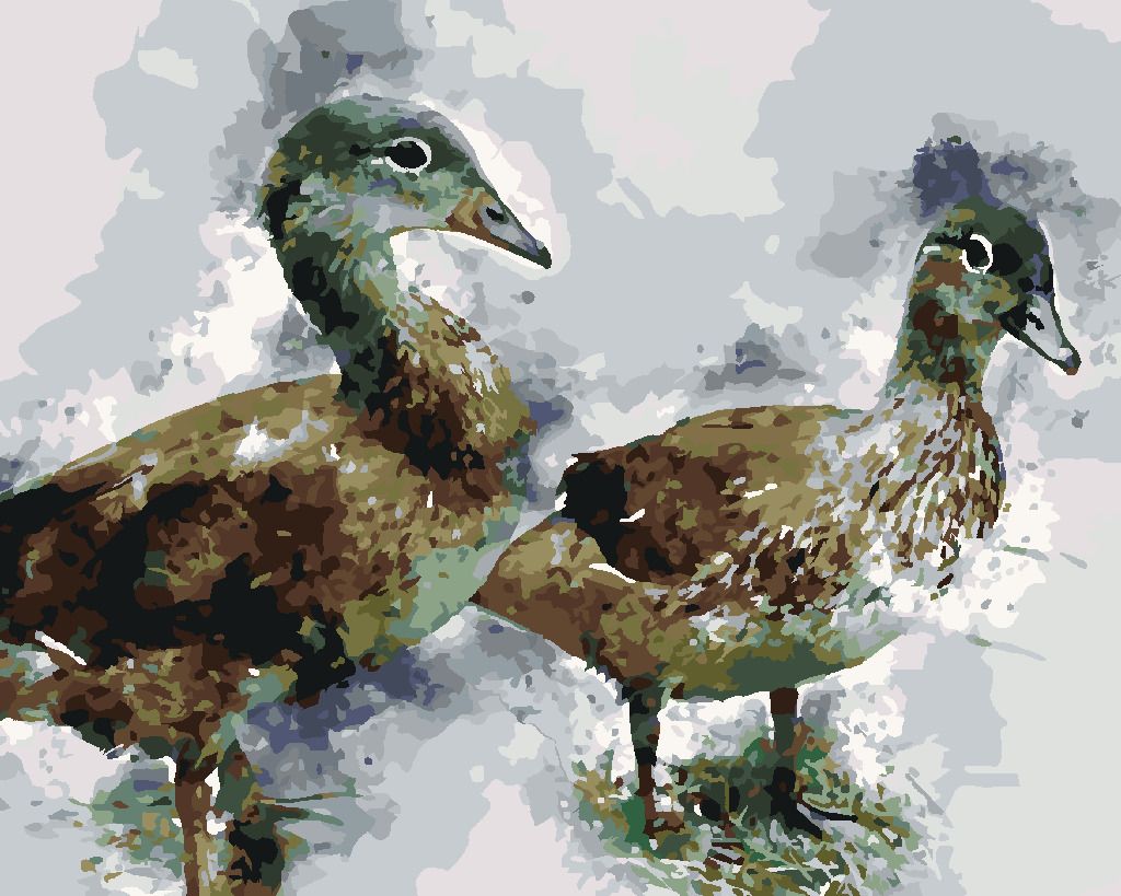 zuty Malování podle čísel - MLADÉ KACHNY - Rozměr: 40x50 cm, Rámování: Varianta: bez rámu a bez vypnutí plátna - obrázek 2