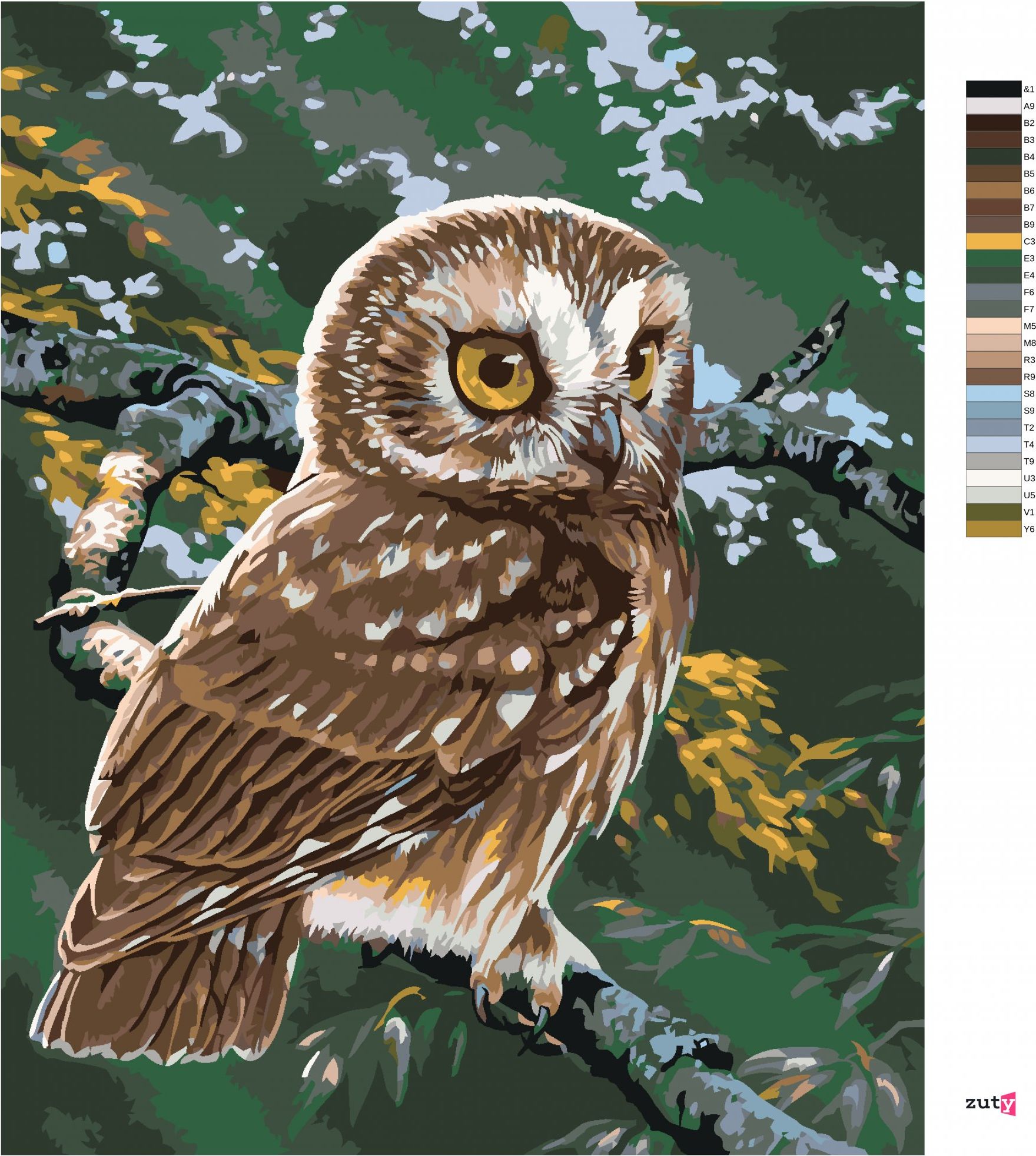 zuty Malování podle čísel - SOVA NA VĚTVI (AL AGNEW) - Rozměr: 40x50 cm, Rámování: Varianta: bez rámu a bez vypnutí plátna - obrázek 4