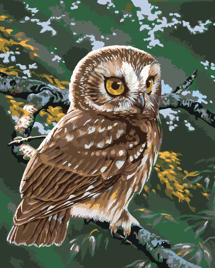 zuty Malování podle čísel - SOVA NA VĚTVI (AL AGNEW) - Rozměr: 40x50 cm, Rámování: Varianta: bez rámu a bez vypnutí plátna - obrázek 6