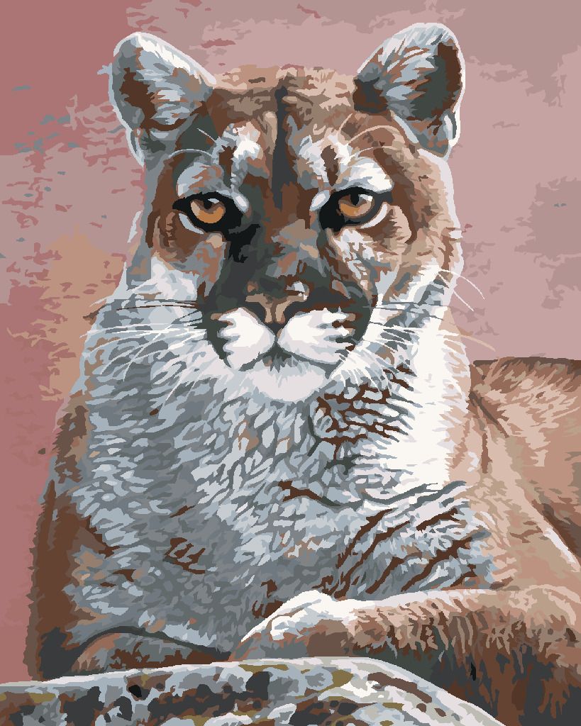 zuty Malování podle čísel - PORTRÉT PUMA (AL AGNEW) - Rozměr: 40x50 cm, Rámování: Varianta: vypnuté plátno na rám - obrázek 5