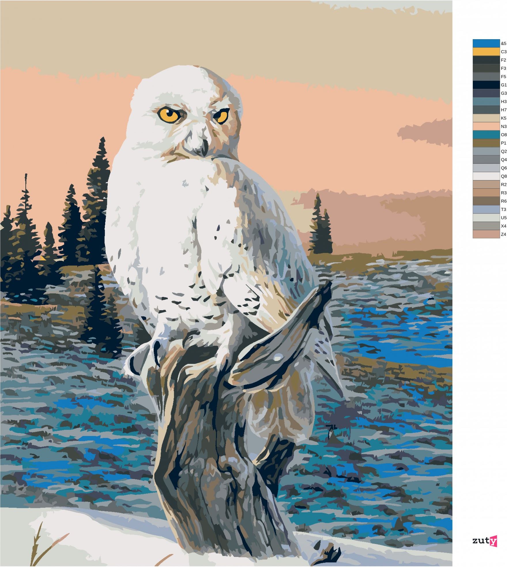 zuty Malování podle čísel - SNĚŽNÁ SOVA NA VĚTVI (AL AGNEW) - Rozměr: 40x50 cm, Rámování: Varianta: vypnuté plátno na rám - obrázek 4