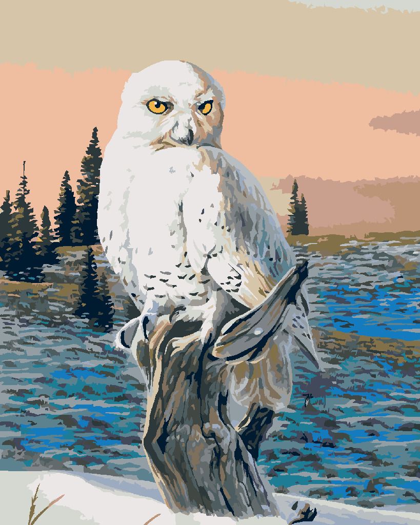zuty Malování podle čísel - SNĚŽNÁ SOVA NA VĚTVI (AL AGNEW) - Rozměr: 40x50 cm, Rámování: Varianta: vypnuté plátno na rám - obrázek 6