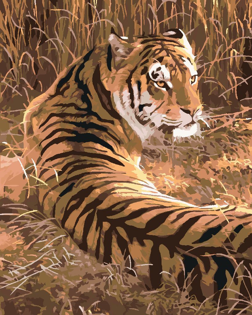 zuty Malování podle čísel - TYGR LEŽÍCÍ V TRÁVĚ (AL AGNEW) - Rozměr: 40x50 cm, Rámování: Varianta: bez rámu a bez vypnutí plátna - obrázek 3