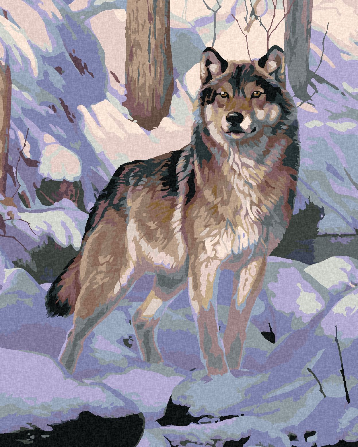zuty Malování podle čísel - VLK VE SNĚHU (AL AGNEW) - Rozměr: 40x50 cm, Rámování: Varianta: vypnuté plátno na rám - obrázek 1