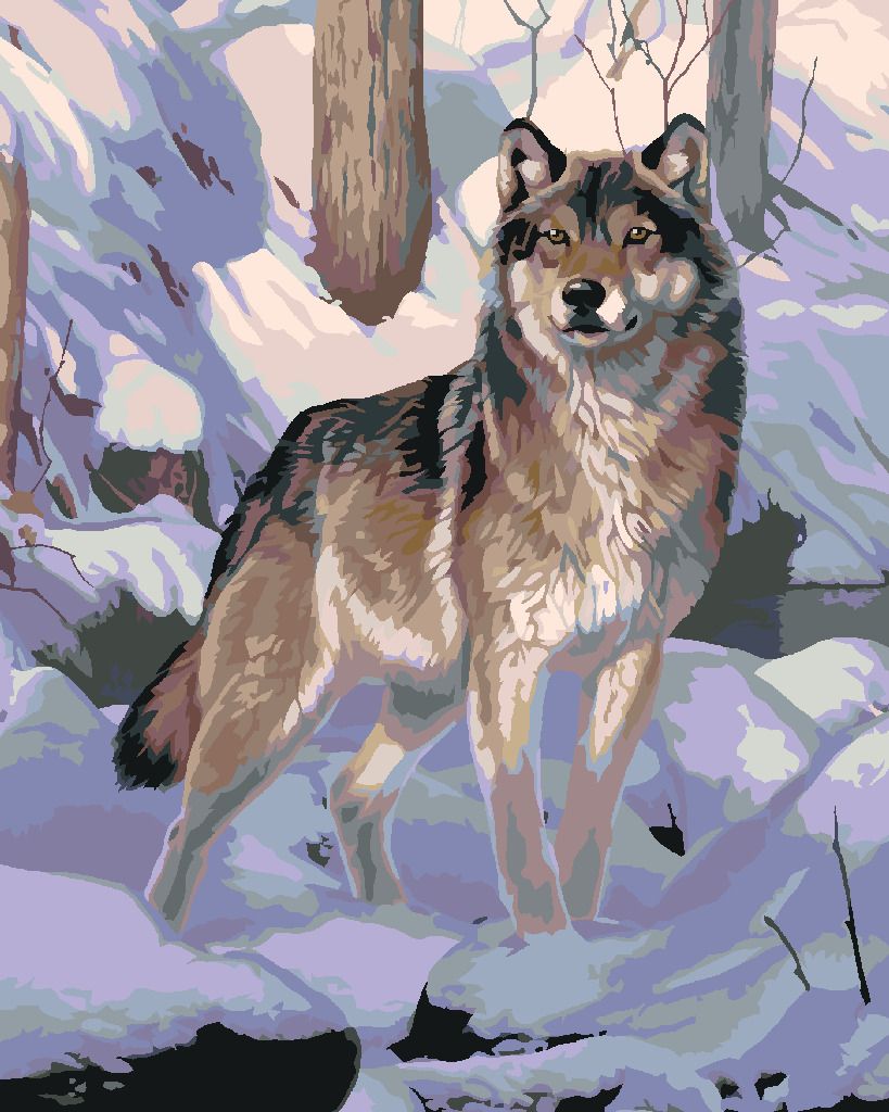 zuty Malování podle čísel - VLK VE SNĚHU (AL AGNEW) - Rozměr: 40x50 cm, Rámování: Varianta: vypnuté plátno na rám - obrázek 7