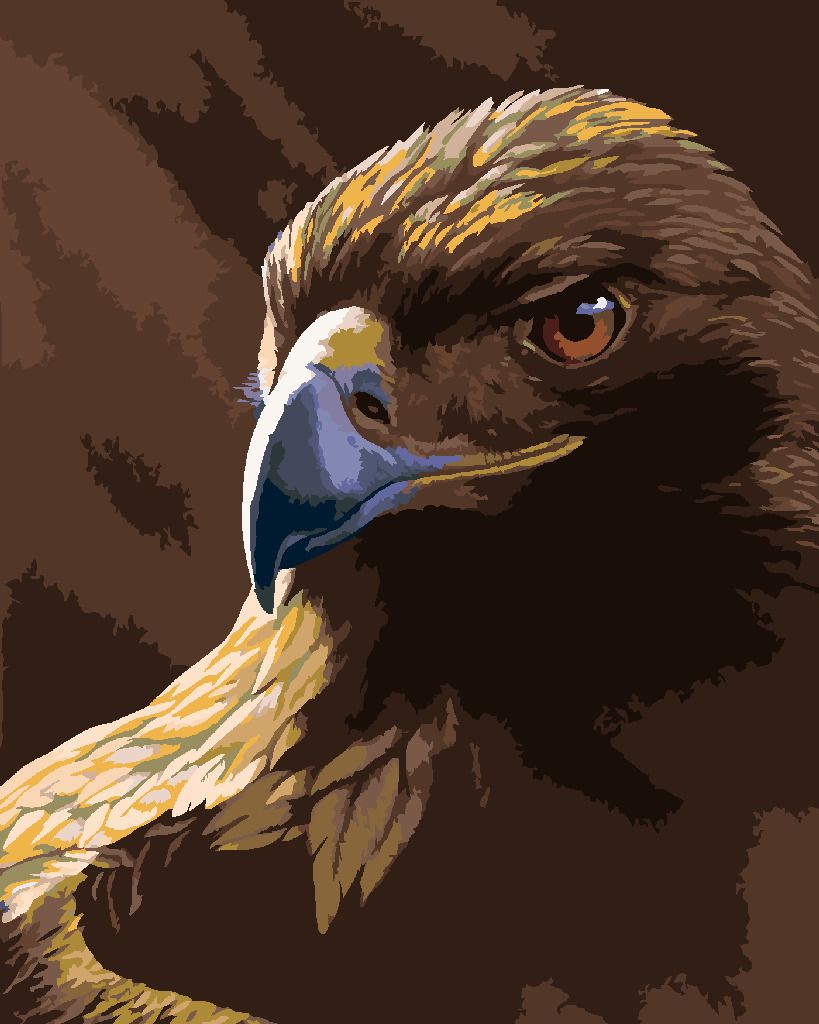 zuty Malování podle čísel - PORTRÉT OREL (AL AGNEW) - Rozměr: 40x50 cm, Rámování: Varianta: vypnuté plátno na rám - obrázek 2