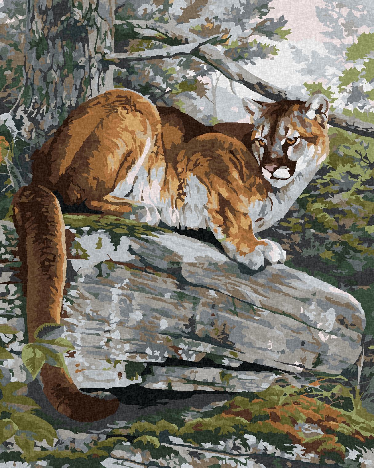 zuty Malování podle čísel - PUMA NA SKÁLE (AL AGNEW) - Rozměr: 40x50 cm, Rámování: Varianta: vypnuté plátno na rám - obrázek 1