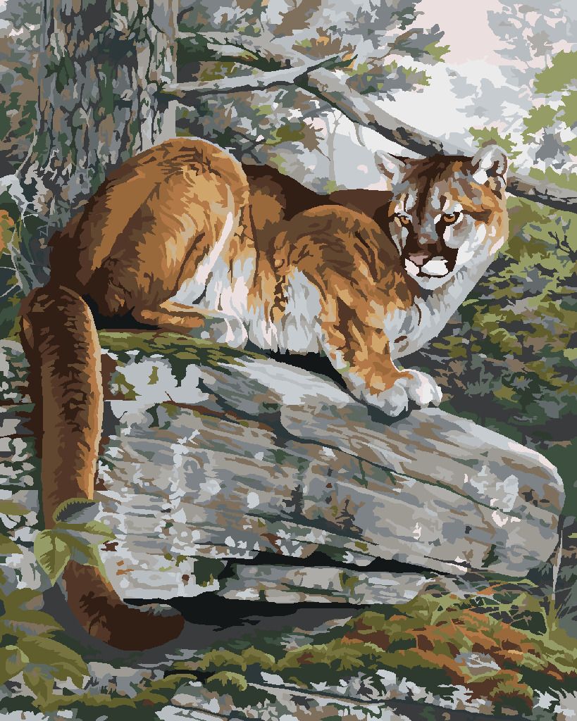 zuty Malování podle čísel - PUMA NA SKÁLE (AL AGNEW) - Rozměr: 40x50 cm, Rámování: Varianta: vypnuté plátno na rám - obrázek 7
