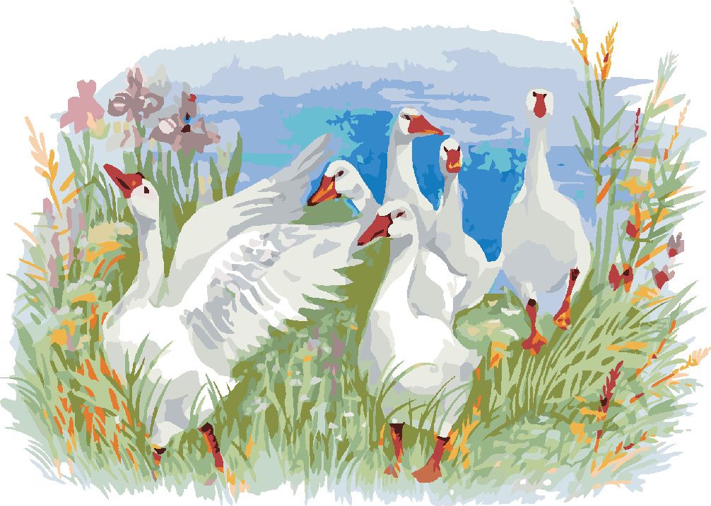 zuty Malování podle čísel - HUSY NA FARMĚ - Rozměr: 40x50 cm, Rámování: Varianta: bez rámu a bez vypnutí plátna - obrázek 5