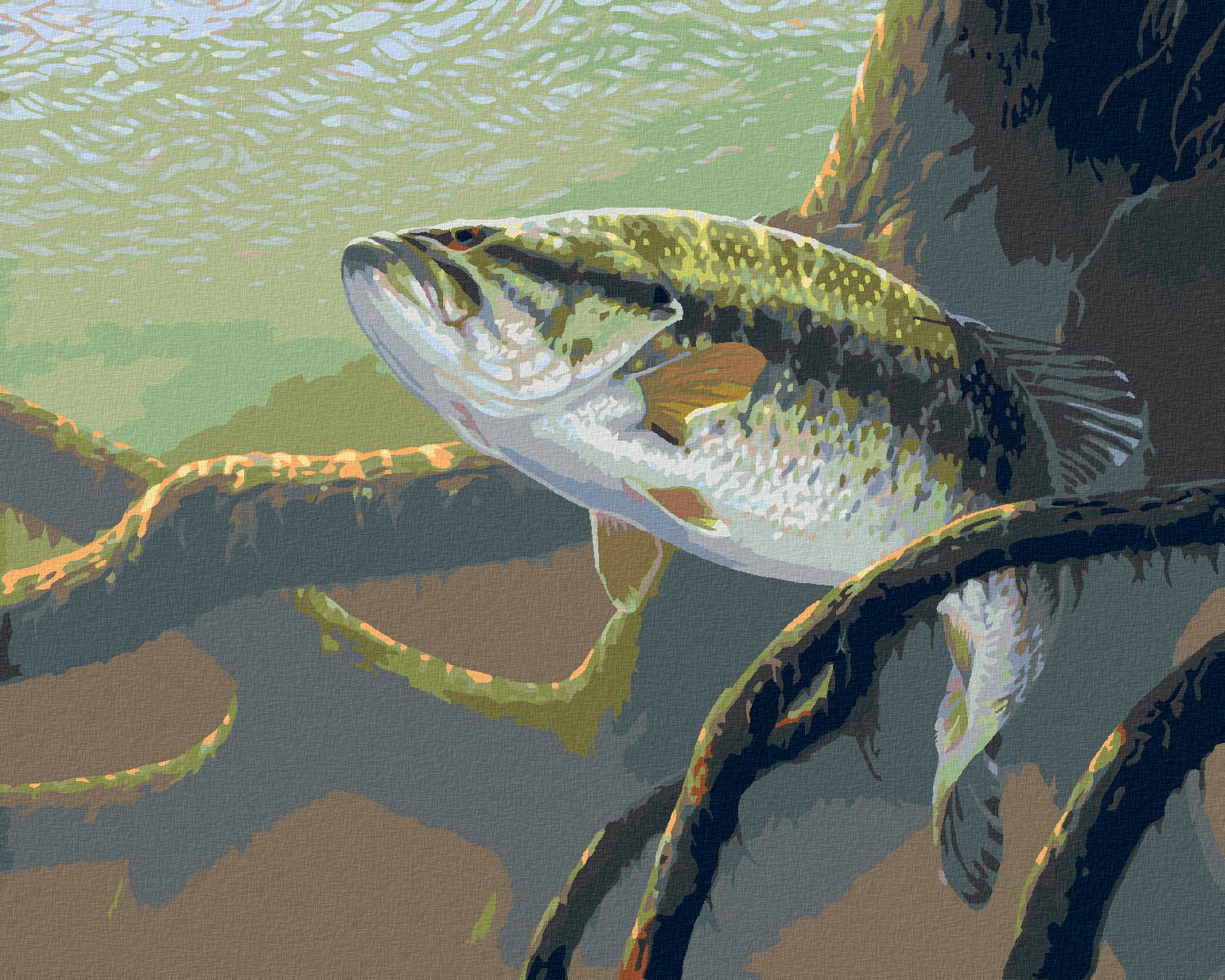 zuty Malování podle čísel - RYBA A PODVODNÍ KOŘENY STROMU (AL AGNEW) - Rozměr: 40x50 cm, Rámování: Varianta: bez rámu a bez vypnutí plátna - obrázek 1