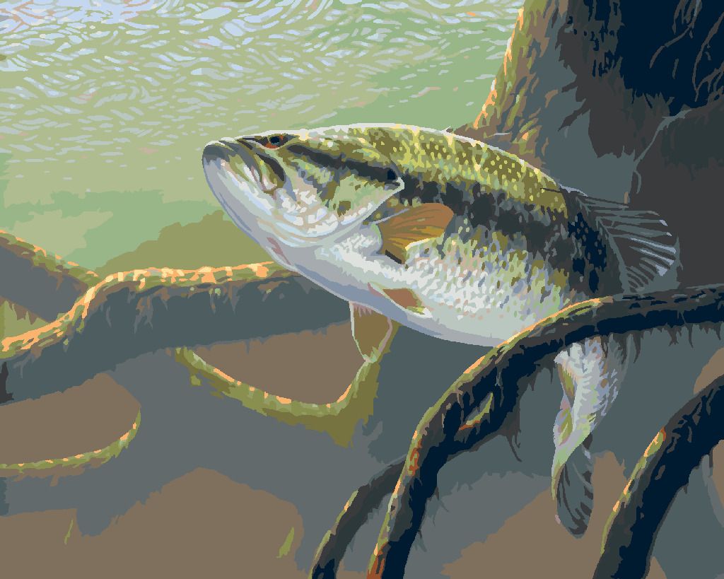 zuty Malování podle čísel - RYBA A PODVODNÍ KOŘENY STROMU (AL AGNEW) - Rozměr: 40x50 cm, Rámování: Varianta: bez rámu a bez vypnutí plátna - obrázek 5