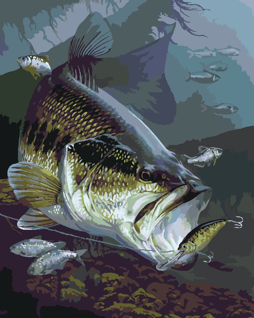 zuty Malování podle čísel - OKOUNEK PSTRUHOVÝ NA HÁČKU (AL AGNEW) - Rozměr: 40x50 cm, Rámování: Varianta: bez rámu a bez vypnutí plátna - obrázek 7