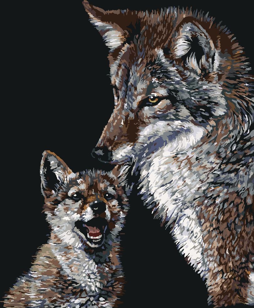 zuty Malování podle čísel - KOJOT A MLÁDĚ (AL AGNEW) - Rozměr: 40x50 cm, Rámování: Varianta: vypnuté plátno na rám - obrázek 4