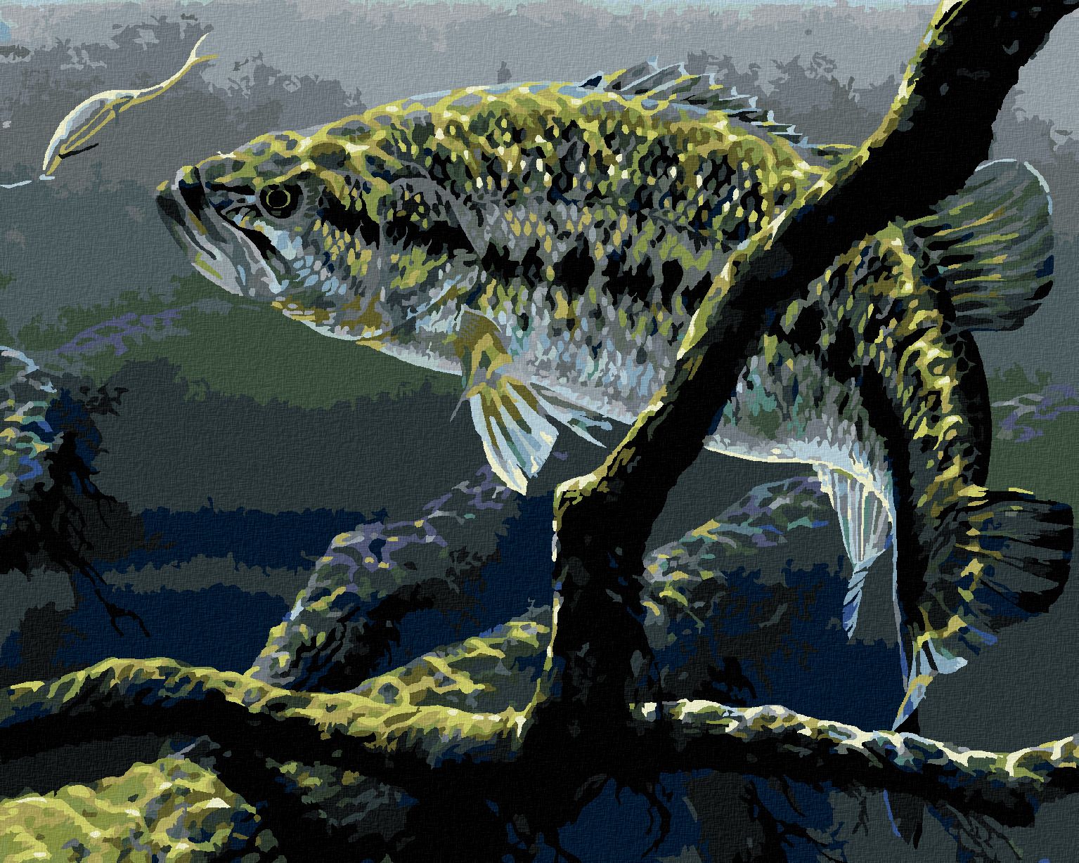 zuty Malování podle čísel - RYBA A HÁČEK (AL AGNEW) - Rozměr: 40x50 cm, Rámování: Varianta: bez rámu a bez vypnutí plátna - obrázek 1