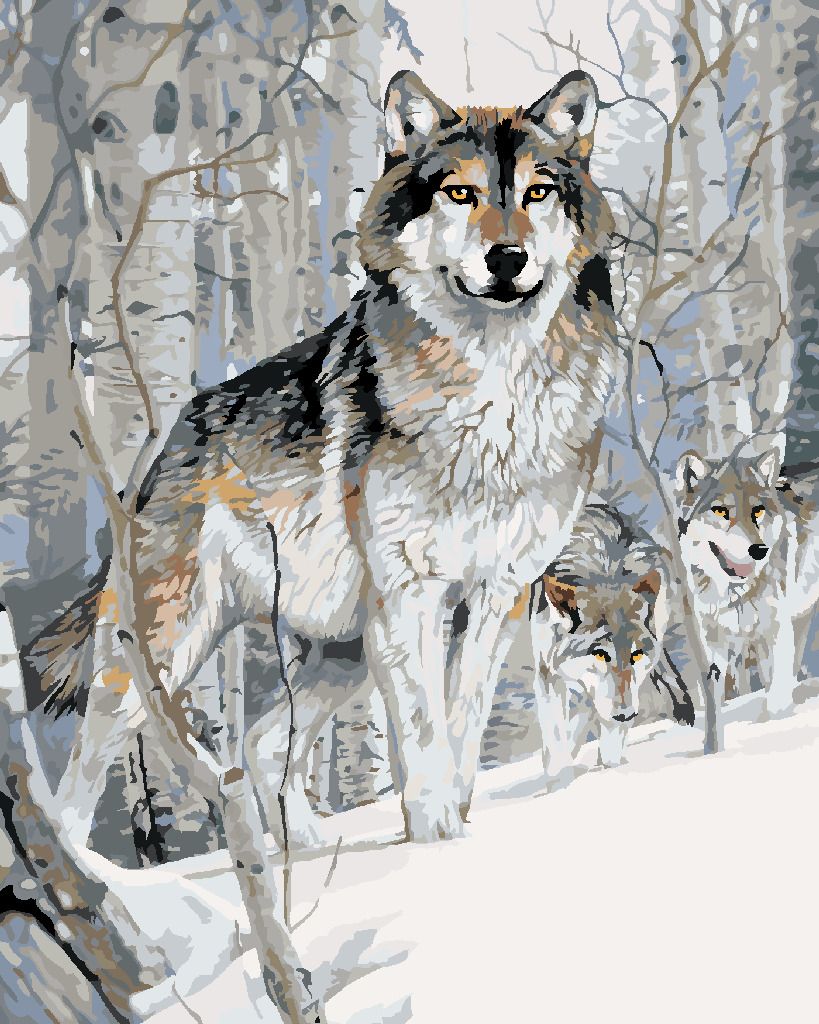 zuty Malování podle čísel - VLK A BŘÍZY V ZIMĚ (AL AGNEW) - Rozměr: 40x50 cm, Rámování: Varianta: bez rámu a bez vypnutí plátna - obrázek 5