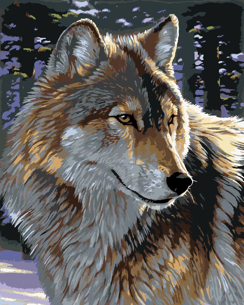 zuty Malování podle čísel - PORTRÉT VLK (AL AGNEW) - Rozměr: 40x50 cm, Rámování: Varianta: bez rámu a bez vypnutí plátna - obrázek 9