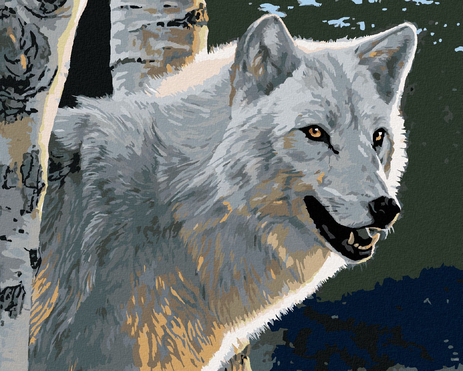 zuty Malování podle čísel - BÍLÝ VLK A BŘÍZY (AL AGNEW) - Rozměr: 40x50 cm, Rámování: Varianta: vypnuté plátno na rám - obrázek 2