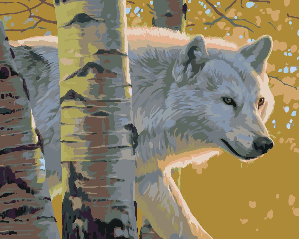 zuty Malování podle čísel - BÍLÝ VLK A BŘÍZY (AL AGNEW) - Rozměr: 40x50 cm, Rámování: Varianta: vypnuté plátno na rám - obrázek 10
