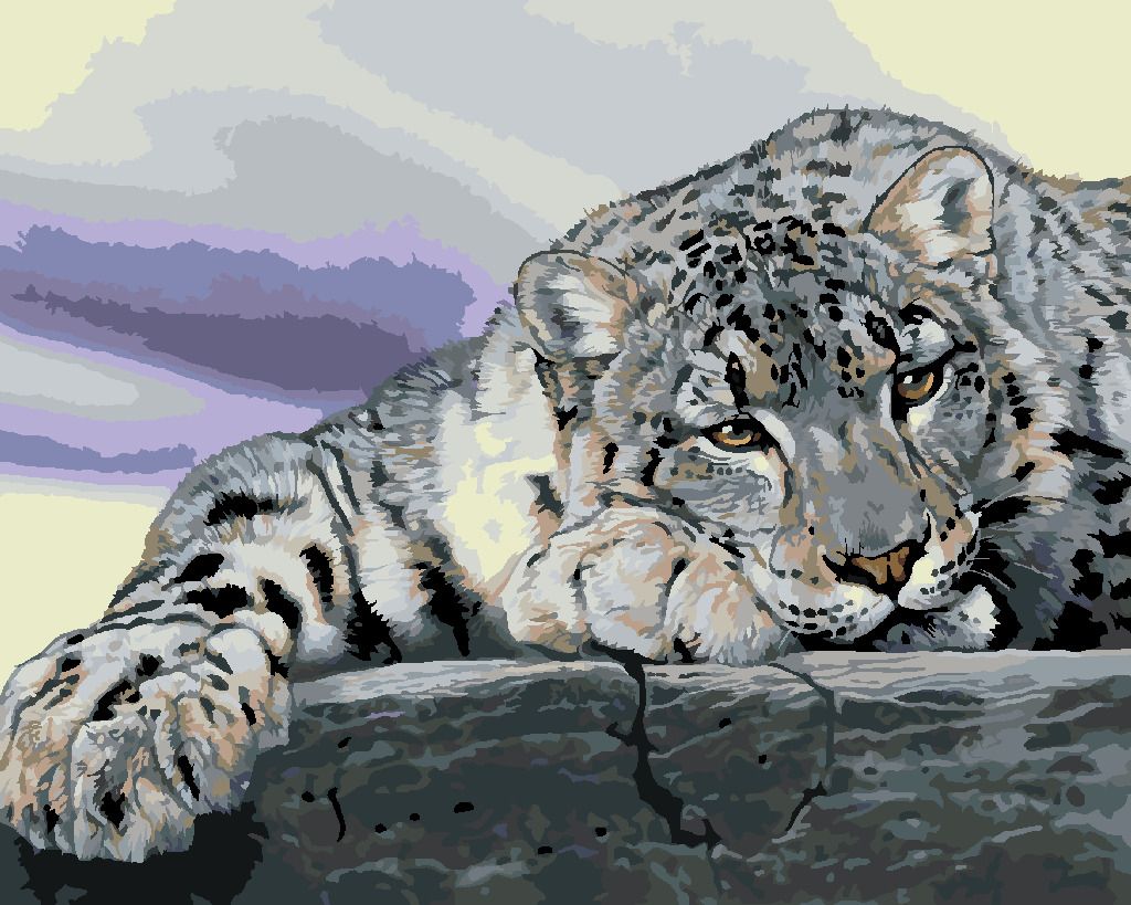 zuty Malování podle čísel - IRBIS LEŽÍCÍ NA SKÁLE (AL AGNEW) - Rozměr: 40x50 cm, Rámování: Varianta: bez rámu a bez vypnutí plátna - obrázek 2