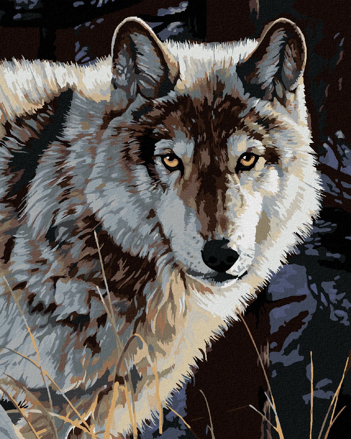 zuty Malování podle čísel - PORTRÉT VLK II (AL AGNEW) - Rozměr: 40x50 cm, Rámování: Varianta: bez rámu a bez vypnutí plátna - obrázek 1