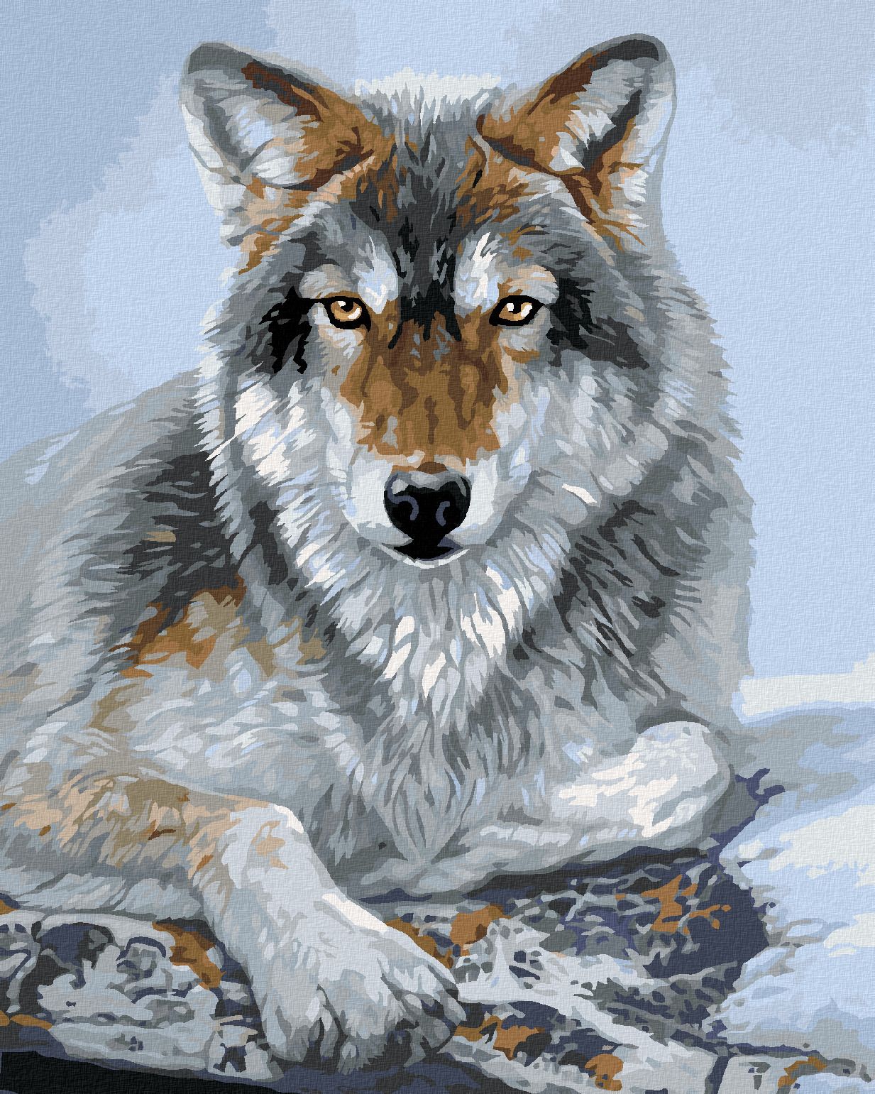 zuty Malování podle čísel - LEŽÍCÍ VLK (AL AGNEW) - Rozměr: 40x50 cm, Rámování: Varianta: bez rámu a bez vypnutí plátna - obrázek 1