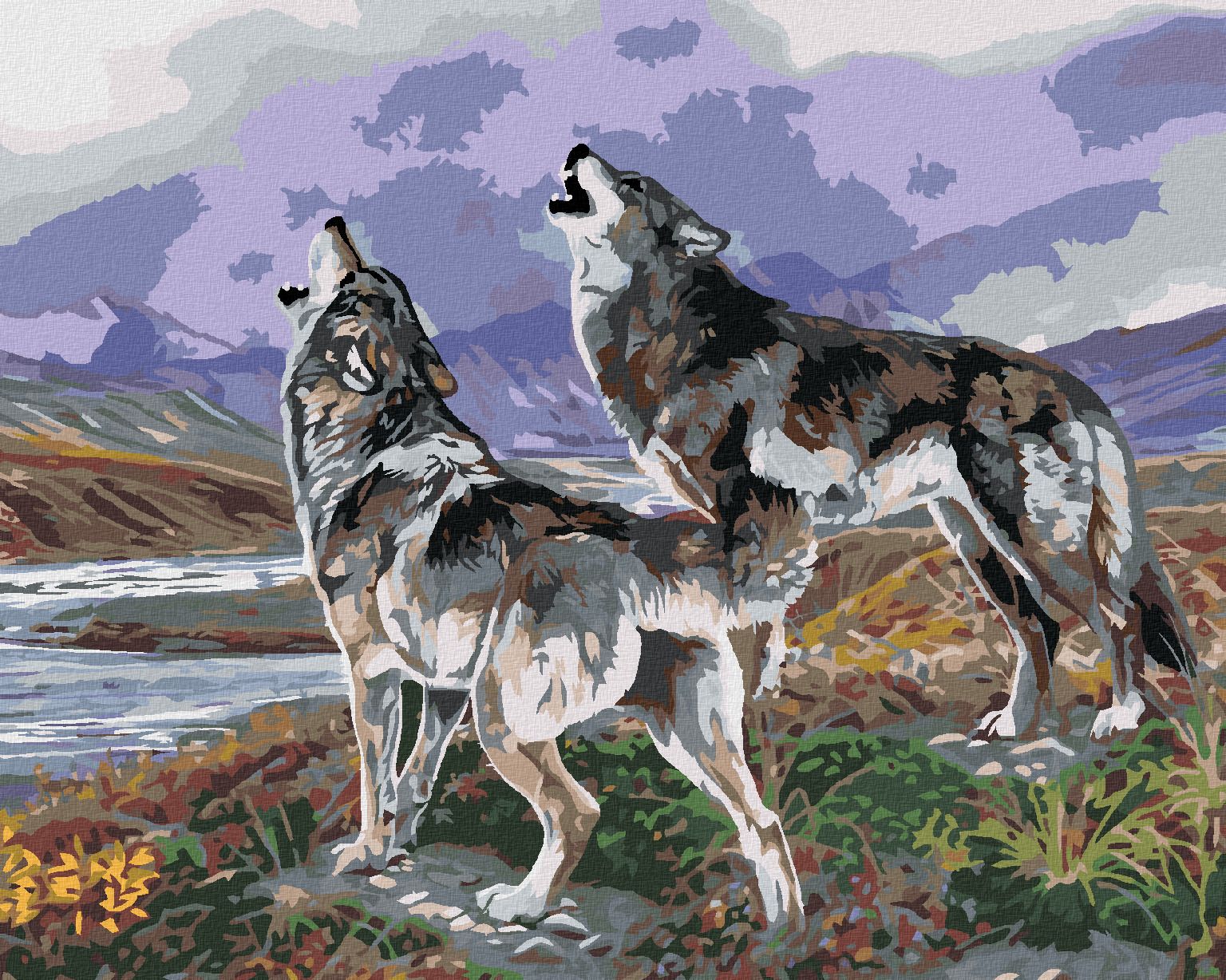 zuty Malování podle čísel - VYJÍCÍ VLCI U ŘEKY A HORY (AL AGNEW) - Rozměr: 40x50 cm, Rámování: Varianta: vypnuté plátno na rám - obrázek 1