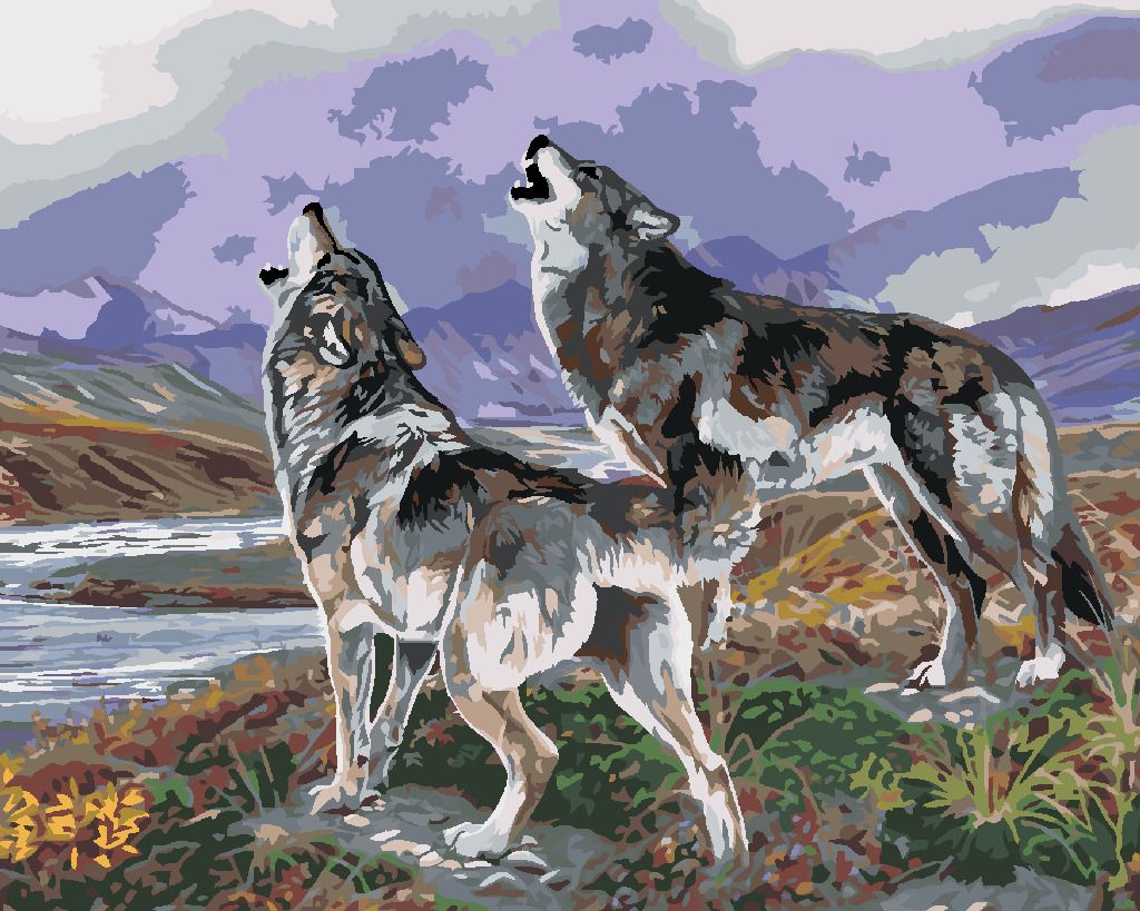 zuty Malování podle čísel - VYJÍCÍ VLCI U ŘEKY A HORY (AL AGNEW) - Rozměr: 40x50 cm, Rámování: Varianta: vypnuté plátno na rám - obrázek 10