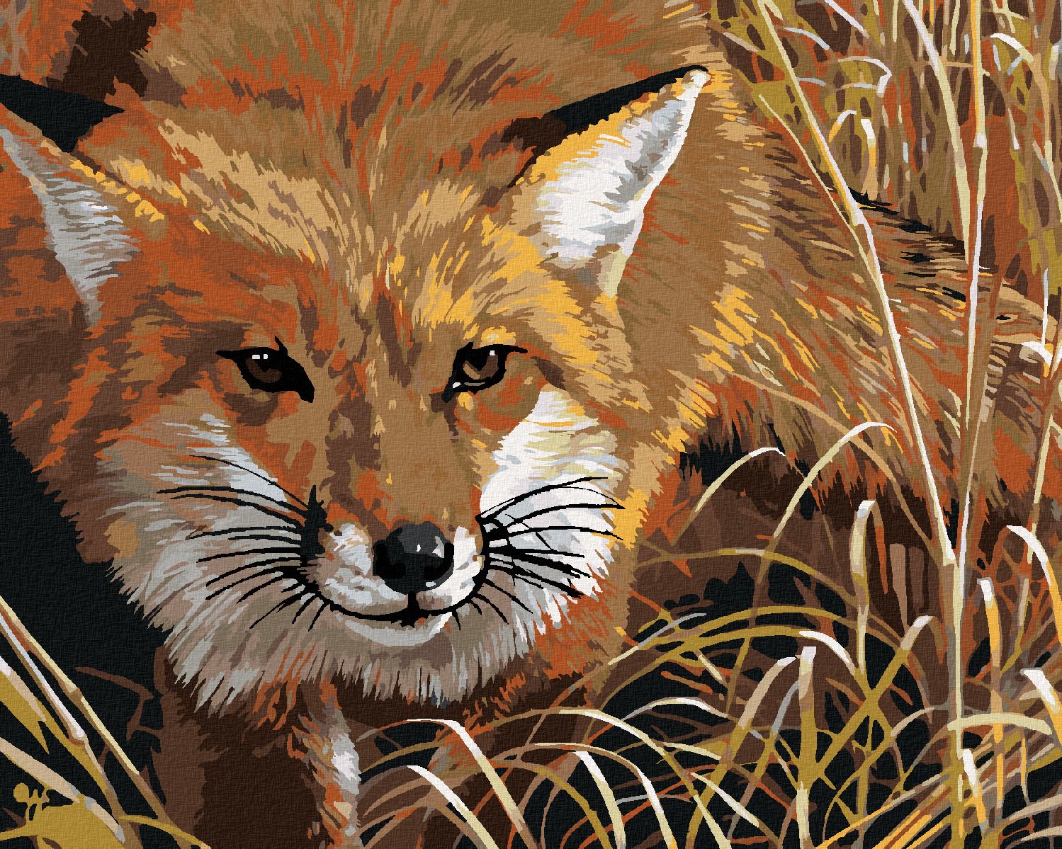 zuty Malování podle čísel - LIŠKA LEŽÍCÍ V TRÁVĚ (AL AGNEW) - Rozměr: 40x50 cm, Rámování: Varianta: vypnuté plátno na rám - obrázek 1