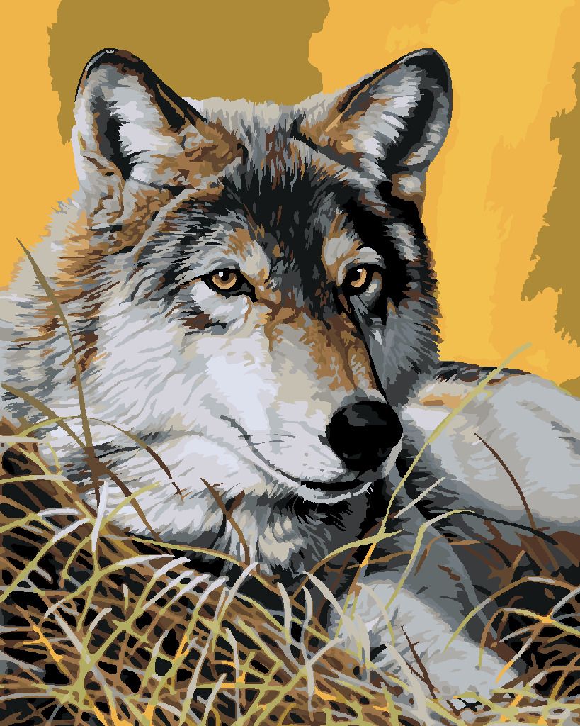 zuty Malování podle čísel - LEŽÍCÍ VLK V TRÁVĚ (AL AGNEW) - Rozměr: 40x50 cm, Rámování: Varianta: vypnuté plátno na rám - obrázek 7