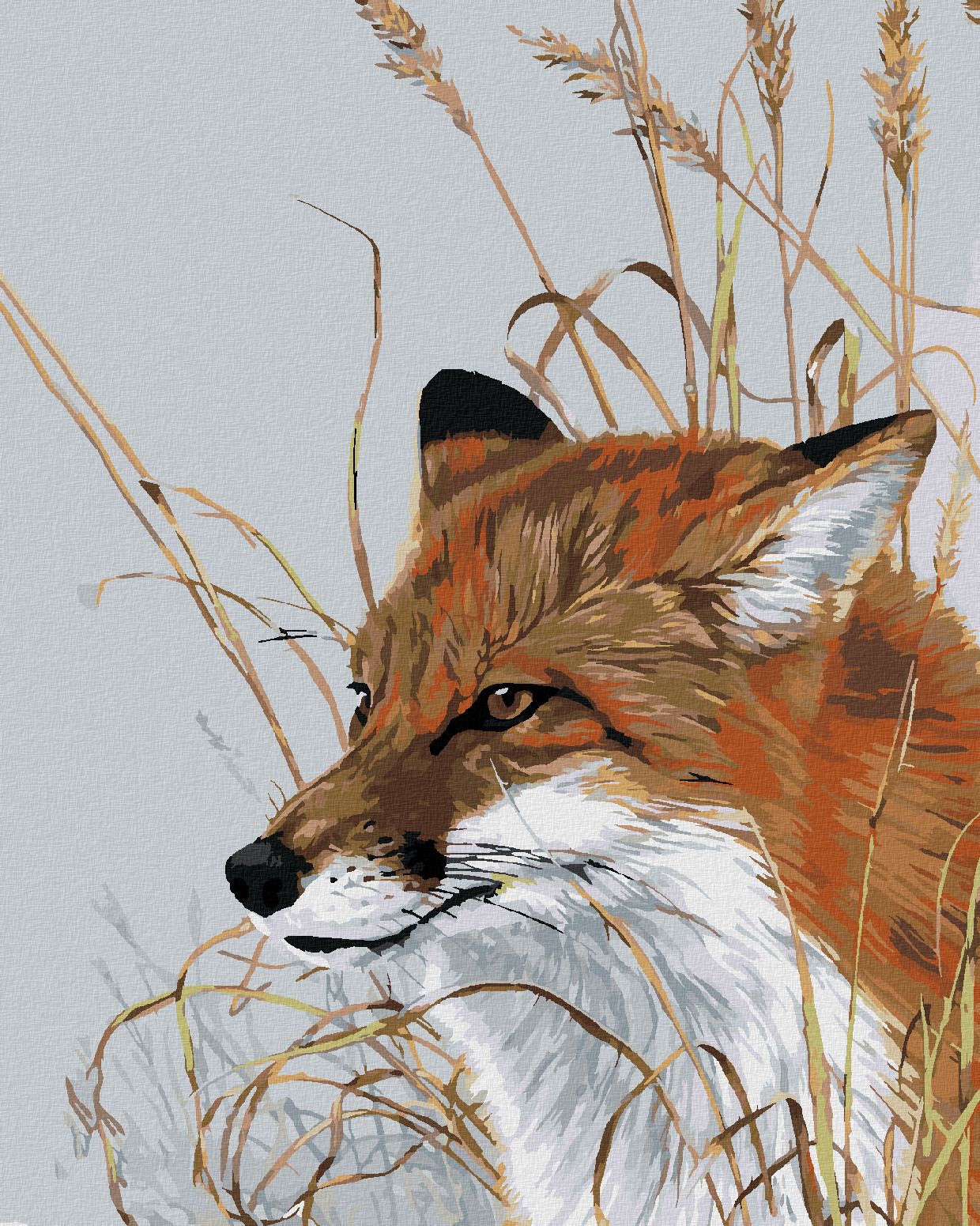 zuty Malování podle čísel - LIŠKA V TRÁVĚ (AL AGNEW) - Rozměr: 40x50 cm, Rámování: Varianta: vypnuté plátno na rám - obrázek 1