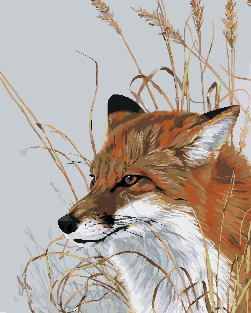 zuty Malování podle čísel - LIŠKA V TRÁVĚ (AL AGNEW) - Rozměr: 40x50 cm, Rámování: Varianta: vypnuté plátno na rám - obrázek 7
