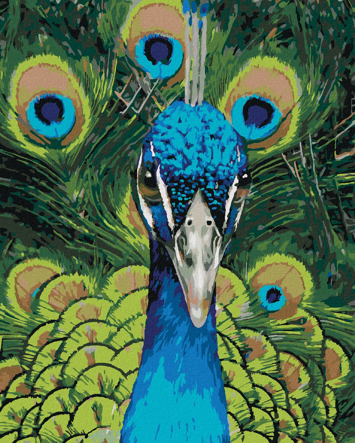 zuty Malování podle čísel - PÁV PORTRÉT (CAROL CAVALARIS) - Rozměr: 40x50 cm, Rámování: Varianta: vypnuté plátno na rám - obrázek 1