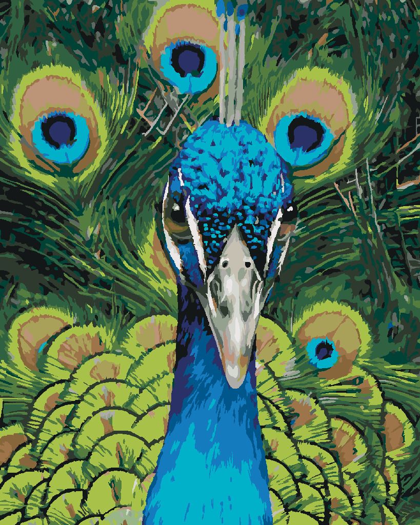 zuty Malování podle čísel - PÁV PORTRÉT (CAROL CAVALARIS) - Rozměr: 40x50 cm, Rámování: Varianta: vypnuté plátno na rám - obrázek 9