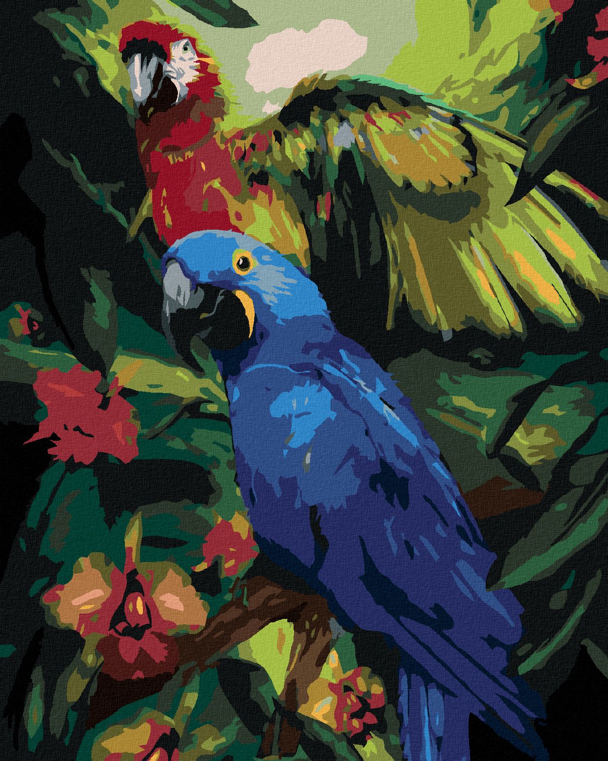 zuty Malování podle čísel - PAPOUŠEK ARA HYACINTOVÝ A HARLEKÝN V PRALESE (CAROL CAVALARIS) - Rozměr: 40x50 cm, Rámování: Varianta: vypnuté plátno na rám - obrázek 1