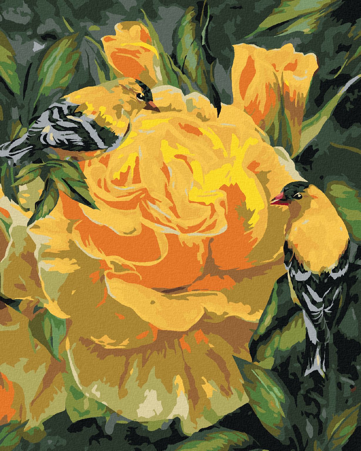 zuty Malování podle čísel - ZLATÉ PĚNKAVY NA RŮŽÍCH (CAROL CAVALARIS) - Rozměr: 40x50 cm, Rámování: Varianta: bez rámu a bez vypnutí plátna - obrázek 1