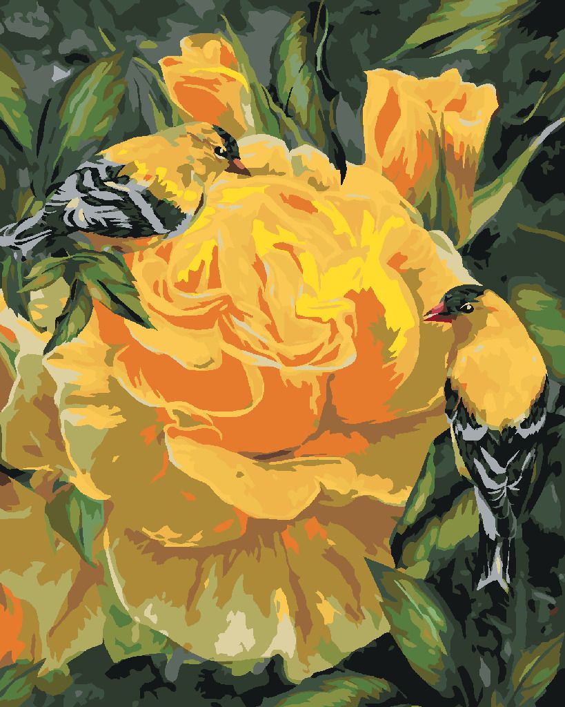 zuty Malování podle čísel - ZLATÉ PĚNKAVY NA RŮŽÍCH (CAROL CAVALARIS) - Rozměr: 40x50 cm, Rámování: Varianta: bez rámu a bez vypnutí plátna - obrázek 9