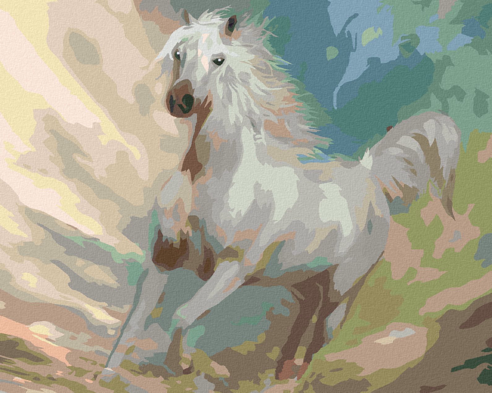 zuty Malování podle čísel - BÍLÝ KŮŇ (CAROL CAVALARIS) - Rozměr: 40x50 cm, Rámování: Varianta: vypnuté plátno na rám - obrázek 1