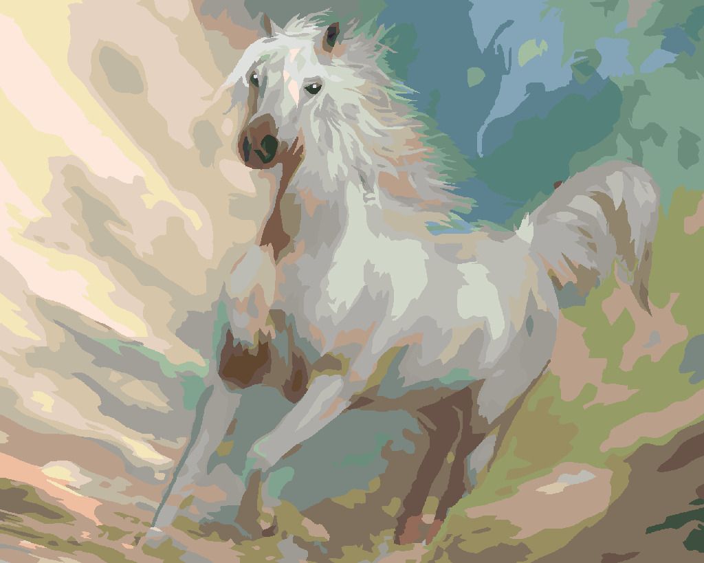 zuty Malování podle čísel - BÍLÝ KŮŇ (CAROL CAVALARIS) - Rozměr: 40x50 cm, Rámování: Varianta: vypnuté plátno na rám - obrázek 9