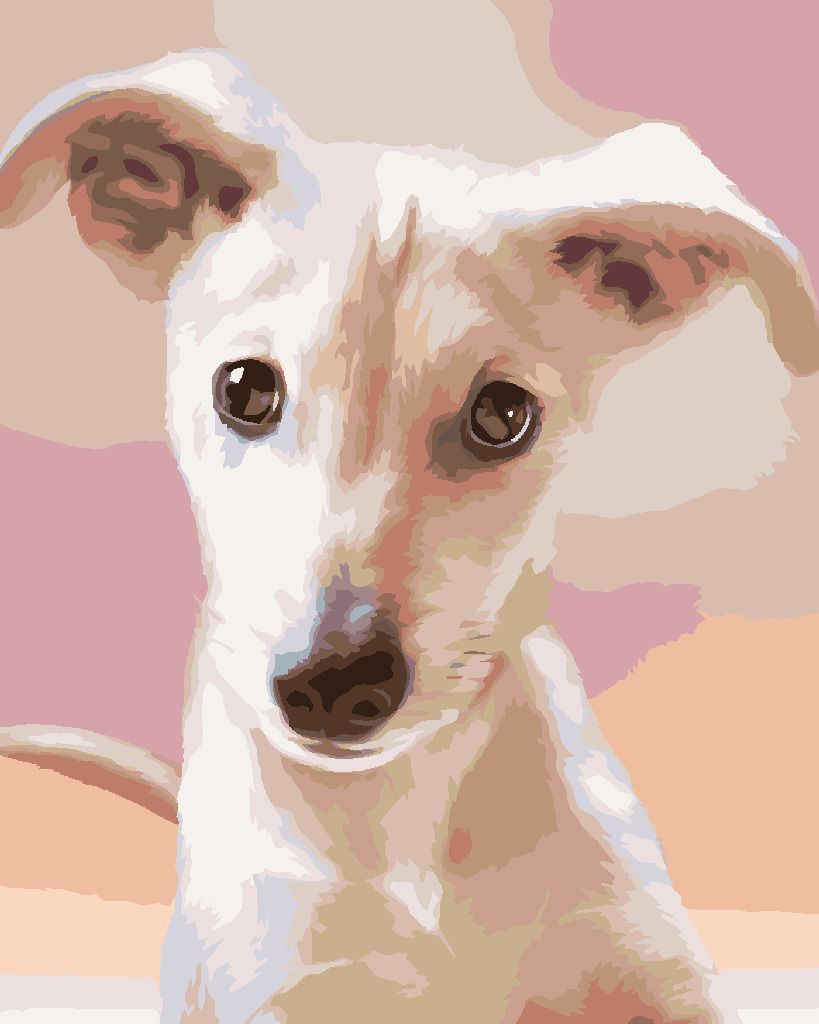 zuty Malování podle čísel – ŠTĚNĚ (CAROL CAVALARIS) - Rozměr: 40x50 cm, Rámování: Varianta: vypnuté plátno na rám - obrázek 8