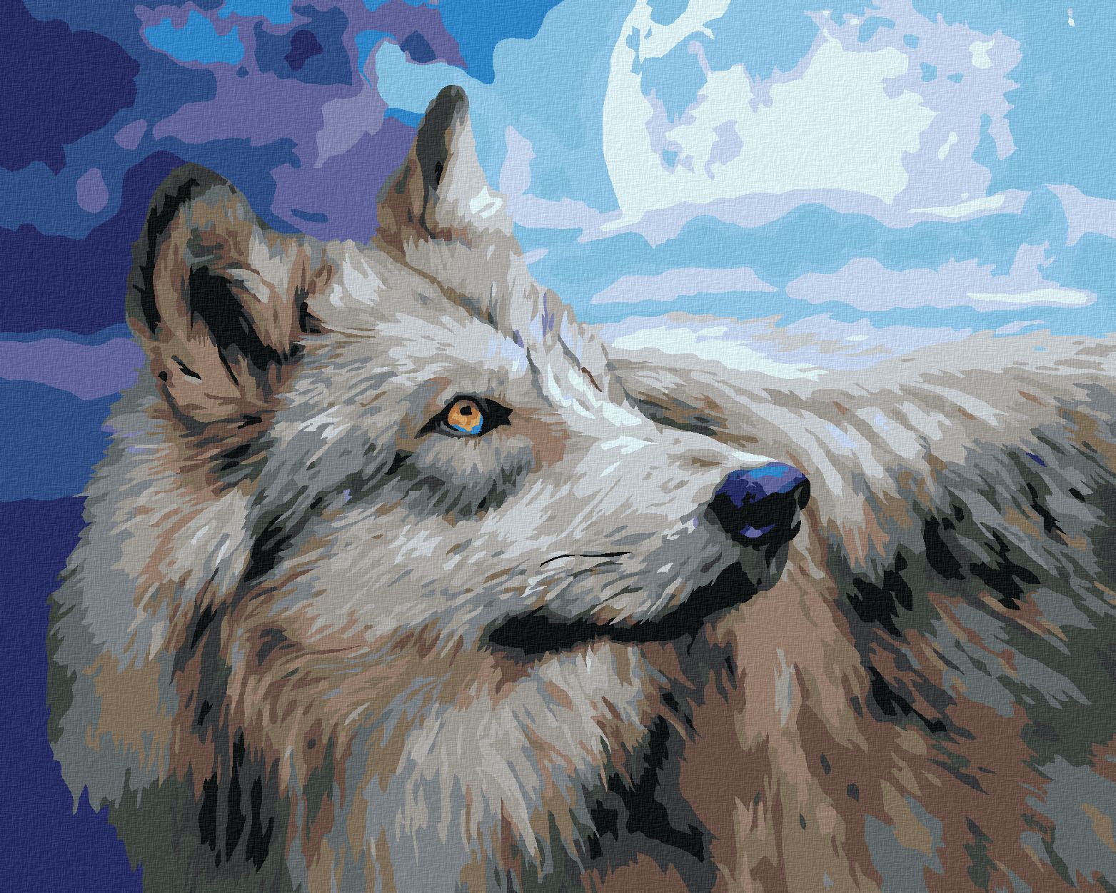 zuty Malování podle čísel – VLK A ÚPLNĚK (CAROL CAVALARIS) - Rozměr: 40x50 cm, Rámování: Varianta: bez rámu a bez vypnutí plátna - obrázek 1