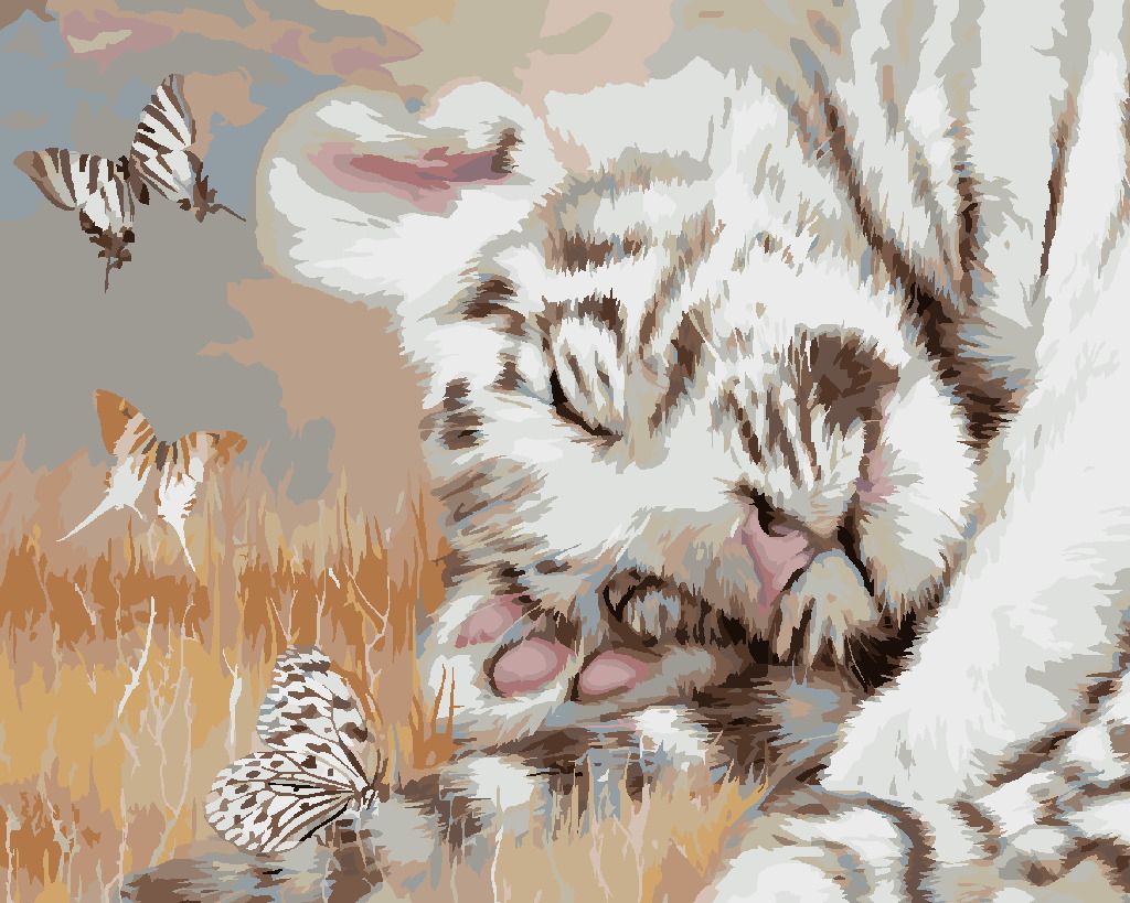 zuty Malování podle čísel - SPÍCÍ BÍLÝ TYGR A MOTÝLI (CAROL CAVALARIS) - Rozměr: 40x50 cm, Rámování: Varianta: bez rámu a bez vypnutí plátna - obrázek 8