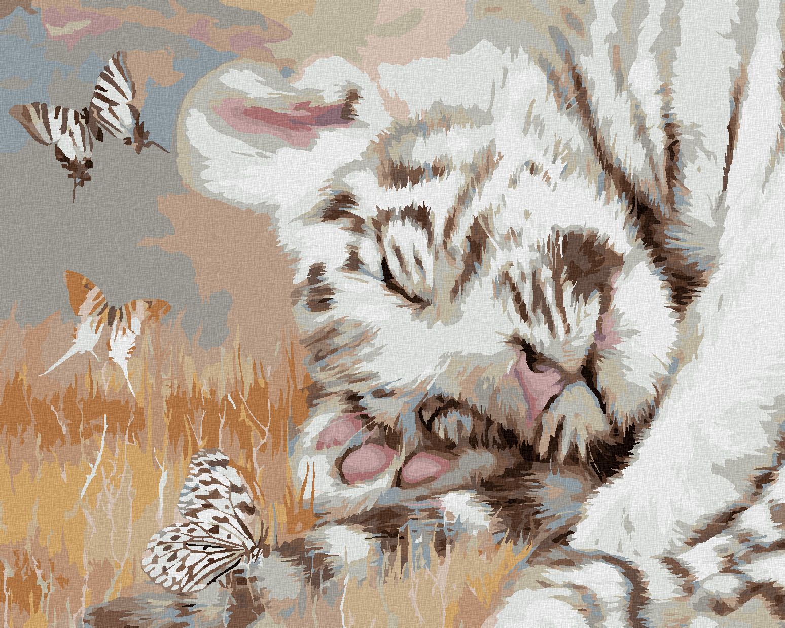 zuty Malování podle čísel - SPÍCÍ BÍLÝ TYGR A MOTÝLI (CAROL CAVALARIS) - Rozměr: 40x50 cm, Rámování: Varianta: vypnuté plátno na rám - obrázek 1