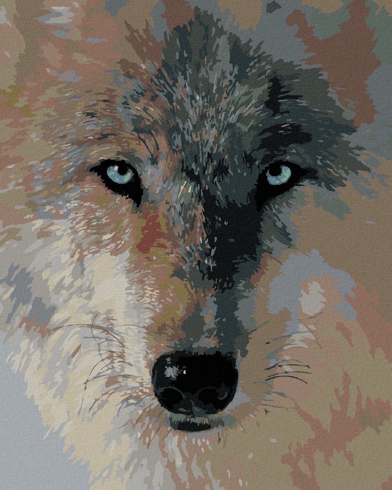 zuty Malování podle čísel – VLČÍ POHLED (COLLIN BOGLE) - Rozměr: 40x50 cm, Rámování: Varianta: vypnuté plátno na rám - obrázek 1