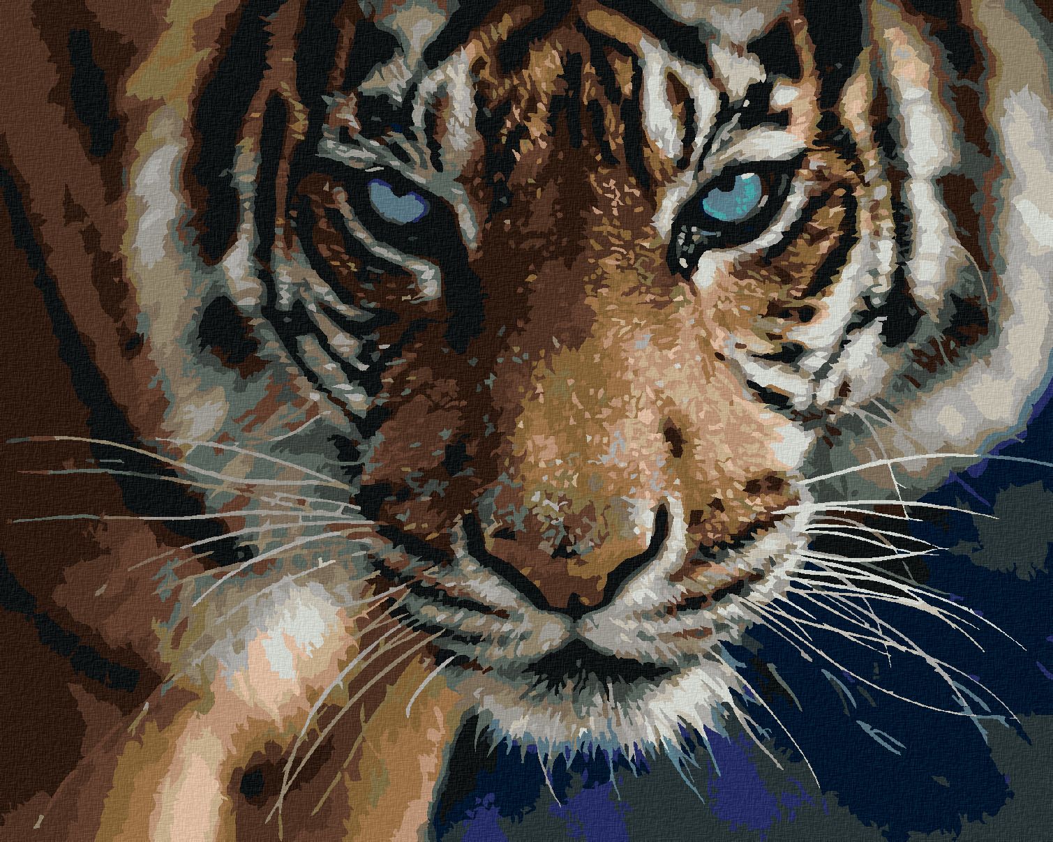 zuty Malování podle čísel – TYGR A MODRÉ OČI (COLLIN BOGLE) - Rozměr: 40x50 cm, Rámování: Varianta: vypnuté plátno na rám - obrázek 1
