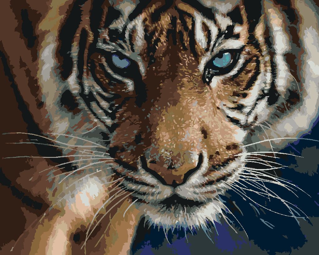 zuty Malování podle čísel – TYGR A MODRÉ OČI (COLLIN BOGLE) - Rozměr: 40x50 cm, Rámování: Varianta: vypnuté plátno na rám - obrázek 3