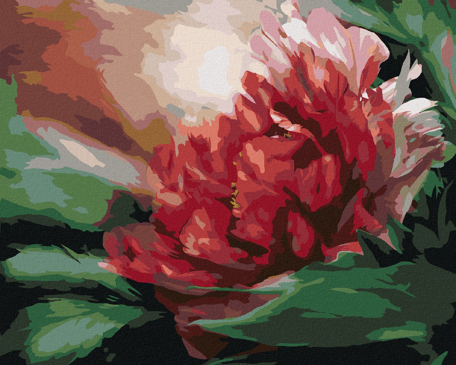 zuty Malování podle čísel - PIVOŇKA (CAROL CAVALARIS) - Rozměr: 40x50 cm, Rámování: Varianta: vypnuté plátno na rám - obrázek 1